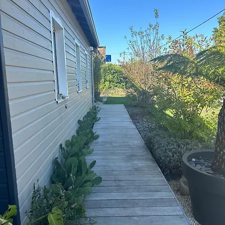 Alice's And Oasis Puvatya