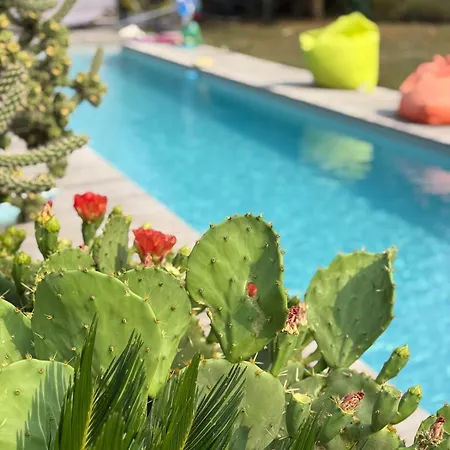 Apartment Alice's And Oasis Poitiers