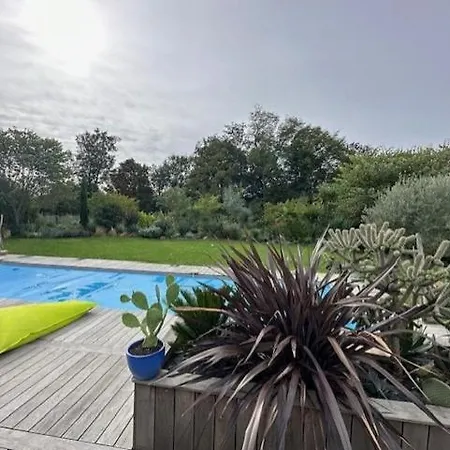 Alice's And Oasis * Puvatya